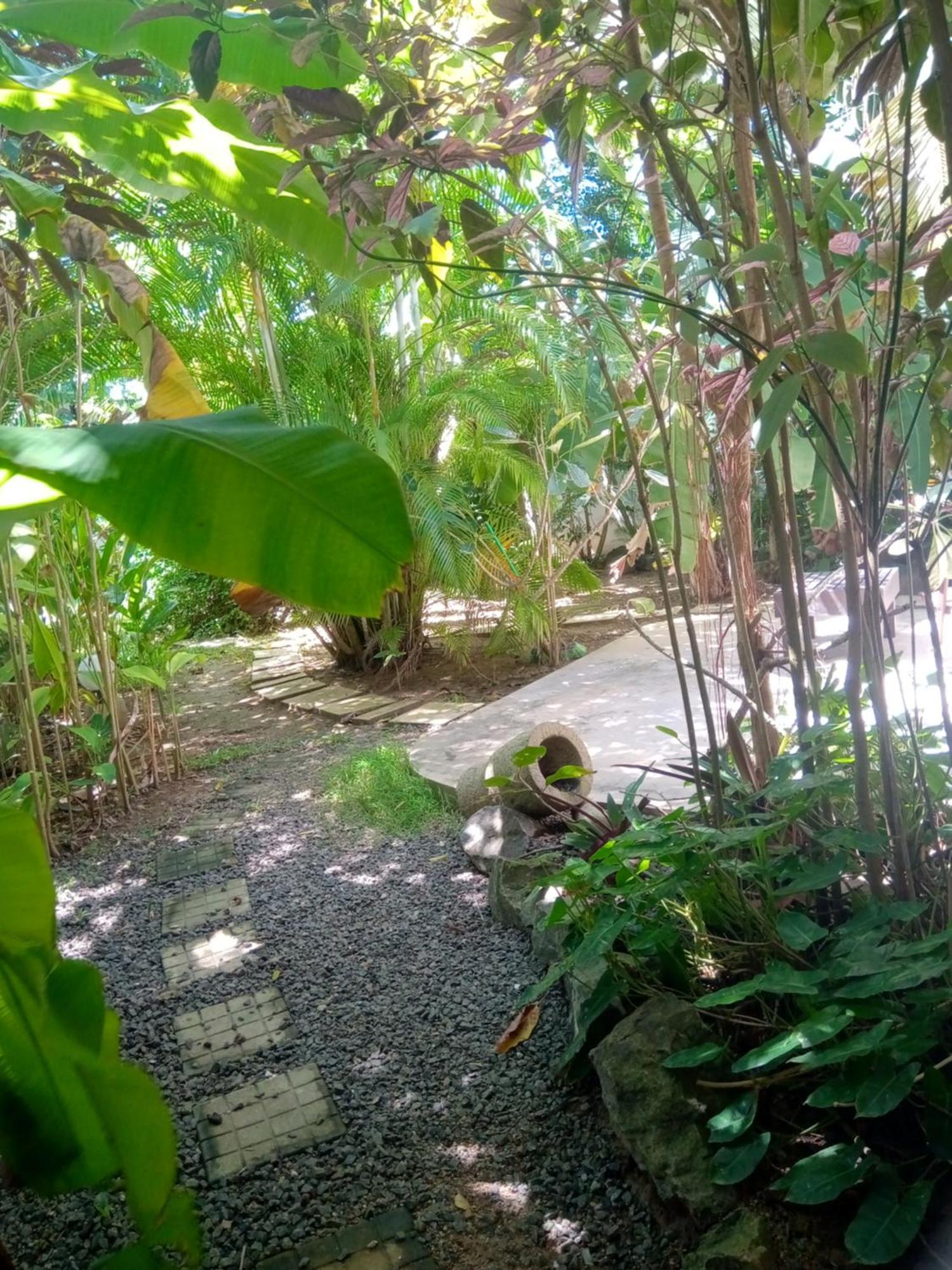 Turtle Eco Beach Matara Bagian luar foto